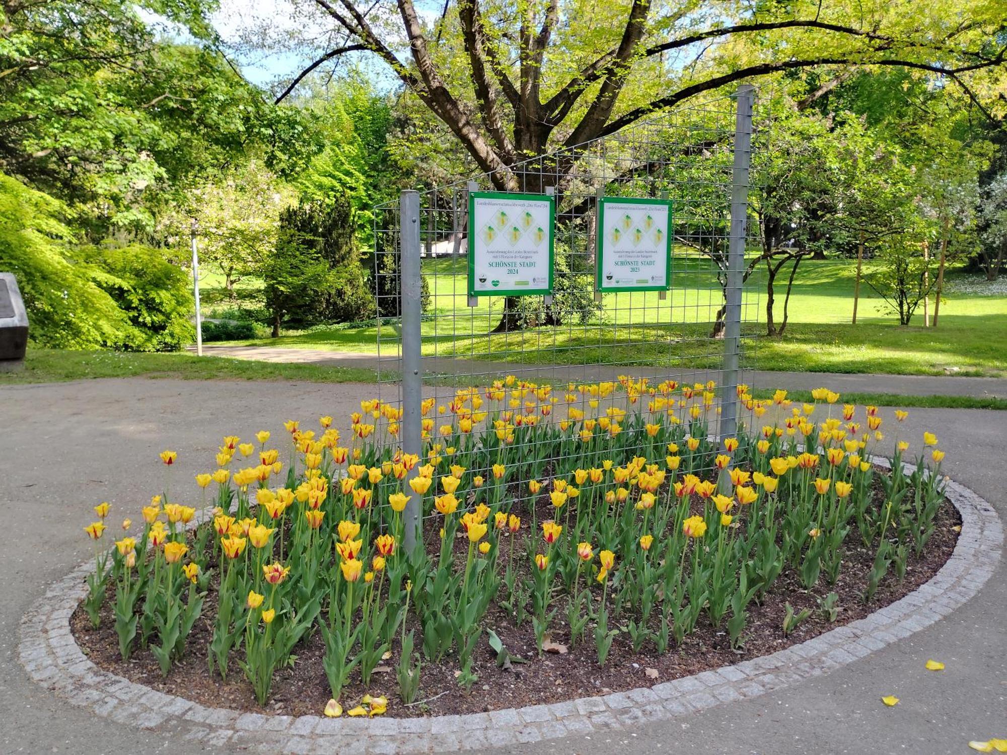 Wohnung In Leoben Zentrum Zwischen Hauptplatz Und Stadtpark Exterior foto
