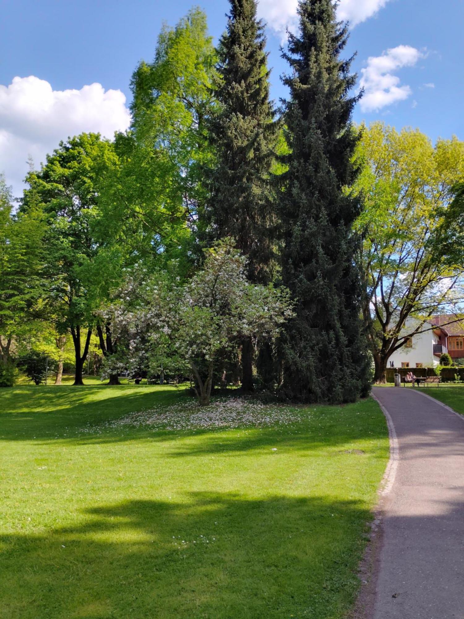 Wohnung In Leoben Zentrum Zwischen Hauptplatz Und Stadtpark Exterior foto